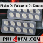Dragon Power Pills 07